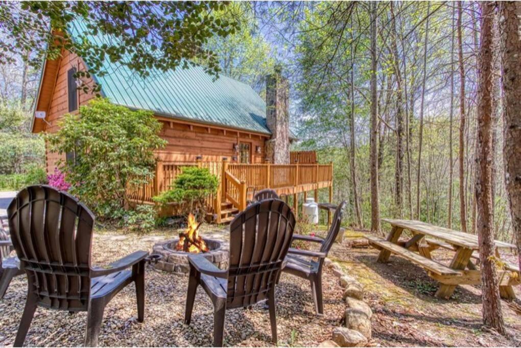 Lazy Bear Cabin 세비어빌 외부 사진