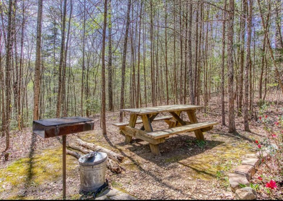 Lazy Bear Cabin 세비어빌 외부 사진