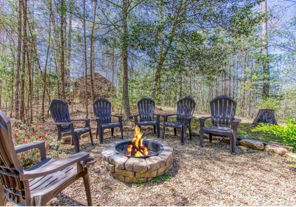 Lazy Bear Cabin 세비어빌 외부 사진