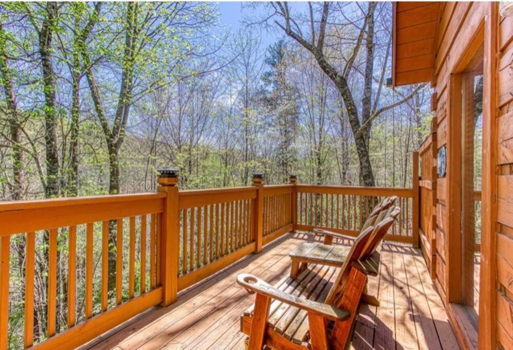 Lazy Bear Cabin 세비어빌 외부 사진