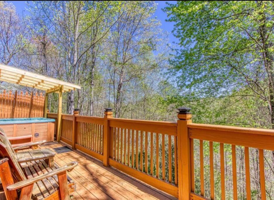 Lazy Bear Cabin 세비어빌 외부 사진